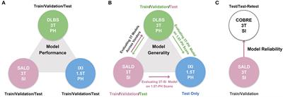 Improving across-dataset brain tissue segmentation for MRI imaging using transformer